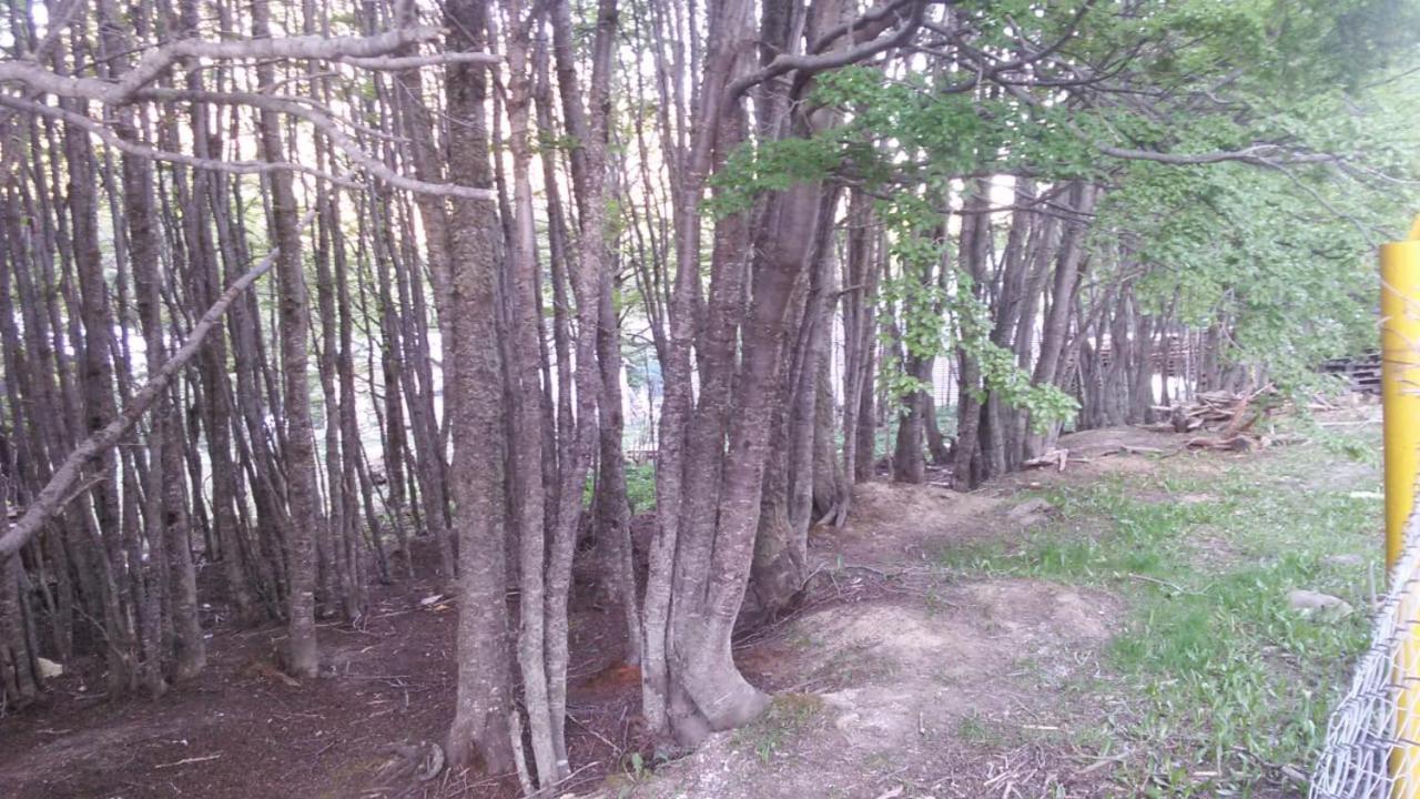 Camping La Encantada Ουσουάια Εξωτερικό φωτογραφία